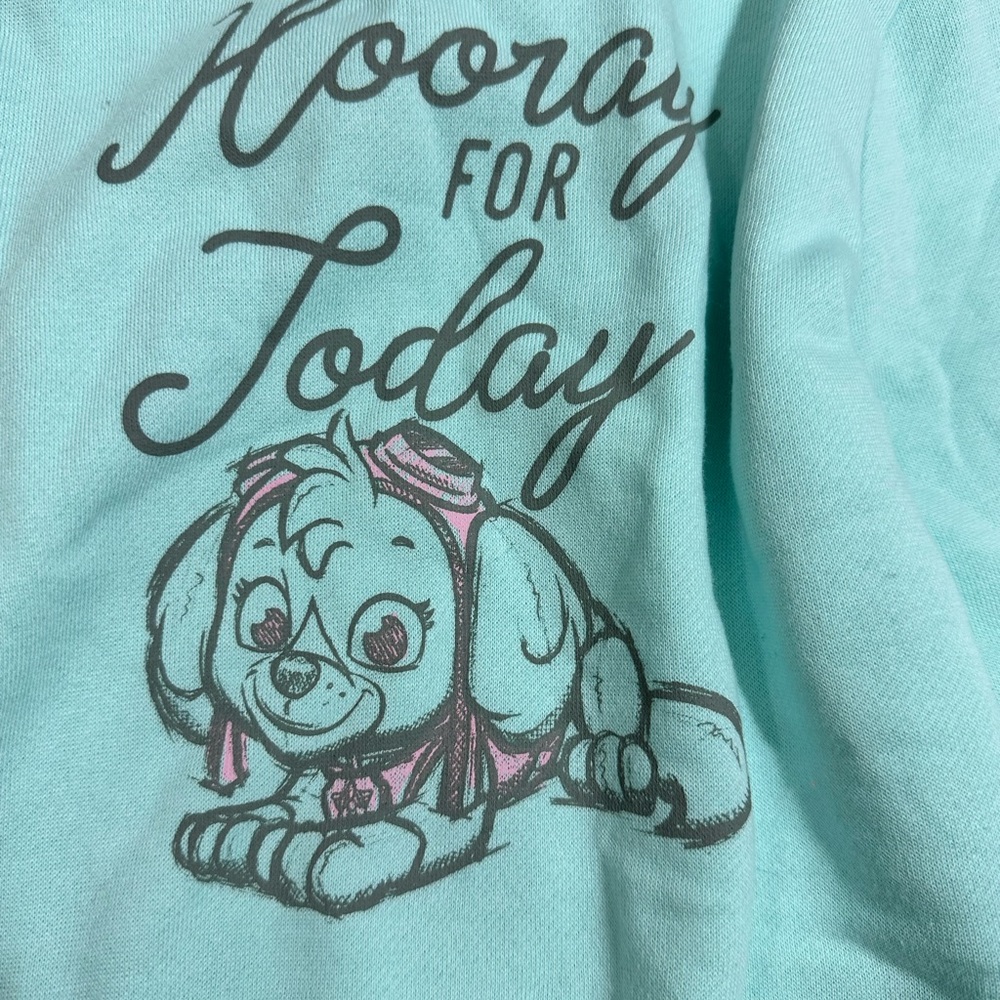 0435 NWT Paw Patrol Aqua Sweatshirt - Hooray for Today - Picture 4 of 7